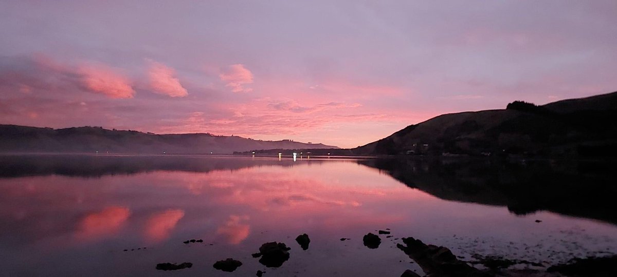 Otepoti/Dunedin this morning 😍

#Ottaaaggggooooo 💙💛💪