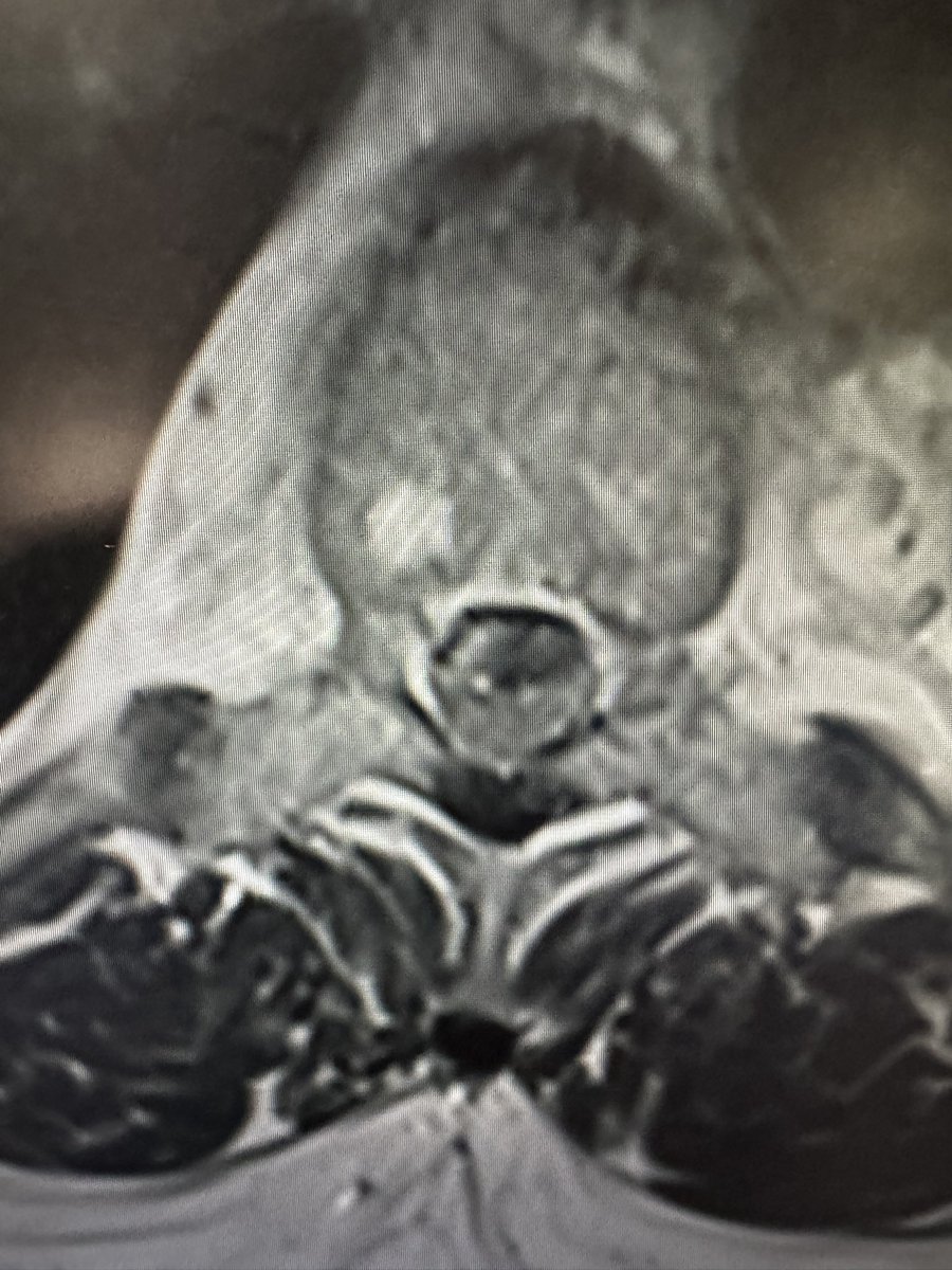 Matthew Gary tweet media