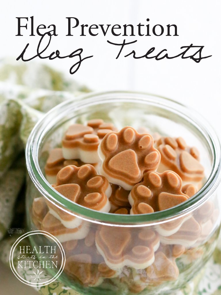HealthNkitchen's tweet image. Did you know that you can PREVENT Fleas on your dog just by giving them my 2-ingredient homemade treats?? 

healthstartsinthekitchen.com/homemade-flea-…