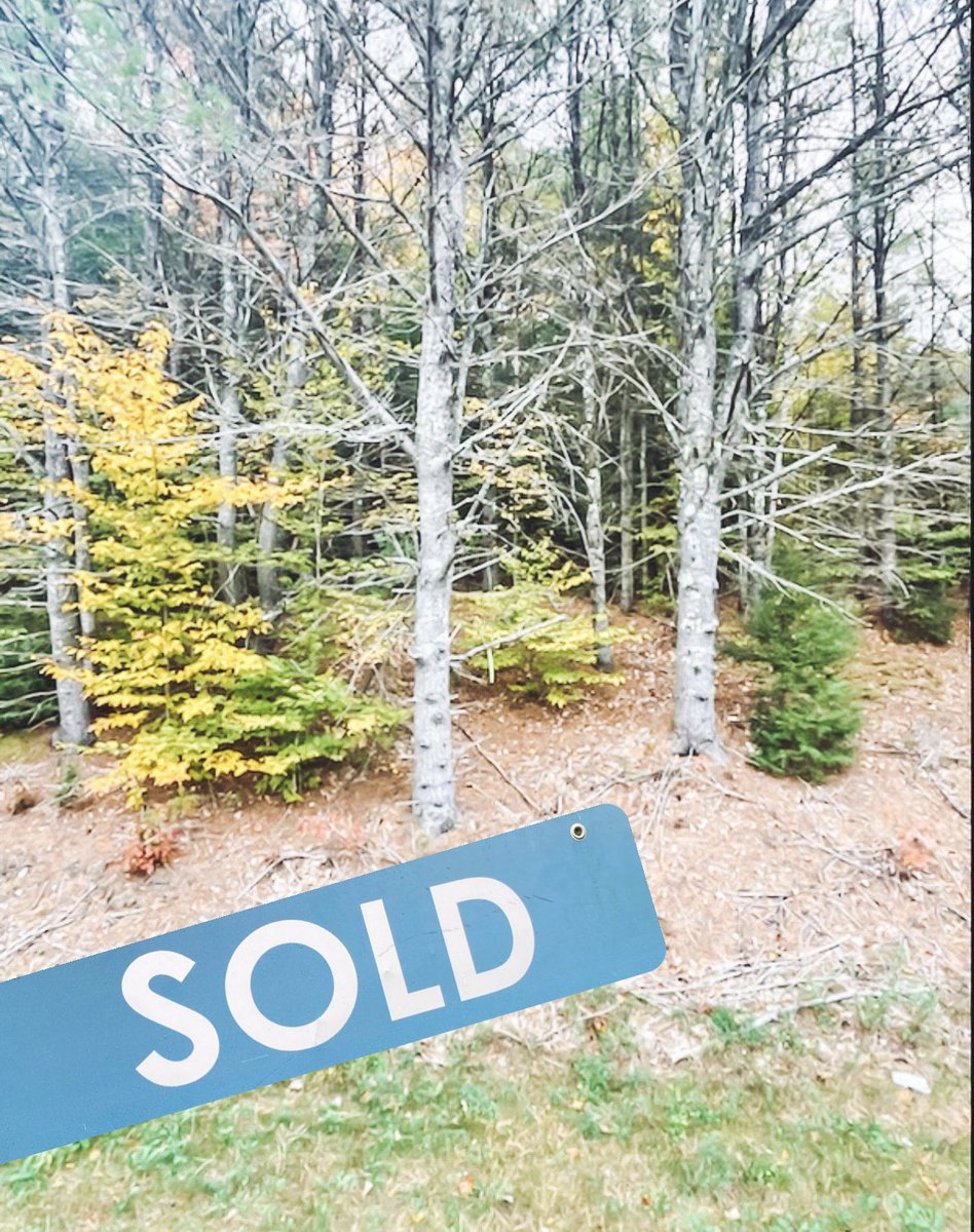 Congratulations to my past clients and friends for closing on the sale of their 28.5 acre lot in Bolton yesterday 👏🏻👏🏻 #boltonlandingny #lakegeorge #lakegeorgeny