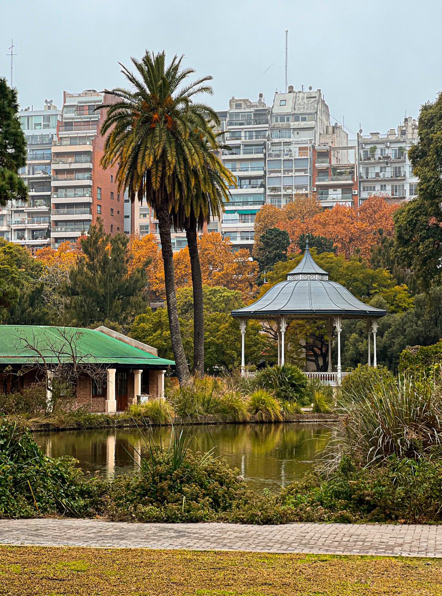 FabriCaradonna's tweet photo. Les dejo 4 fotos mías que me encantan del otoño en Buenos Aires 🧡💛 https://t.co/9nC6PYPRpj