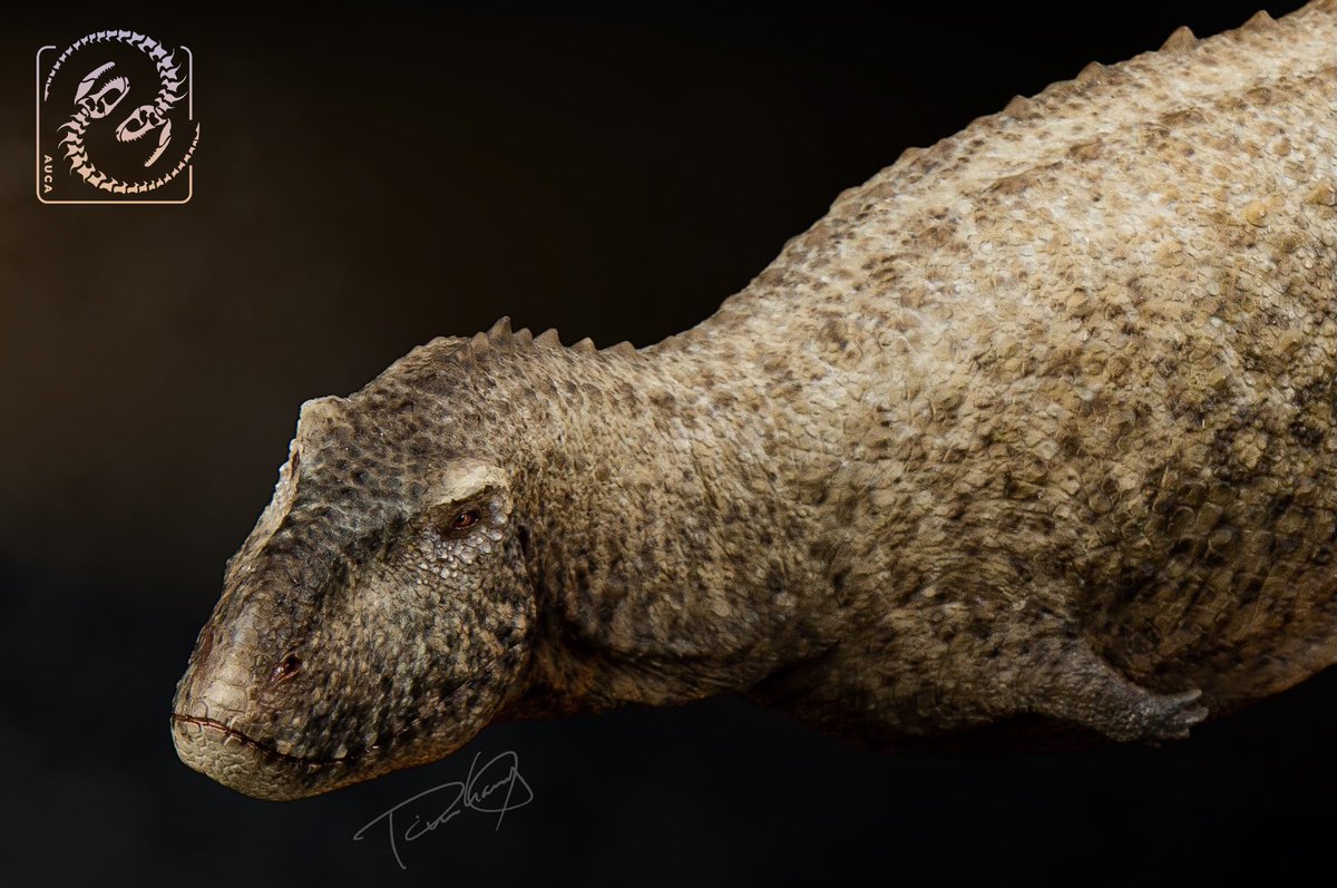 x_seaver's tweet photo. Aucasaurus &amp; Bajadasaurus
#Dinosaur #Aucasaurus #Bajadasaurus https://t.co/UjV6MyHDhj