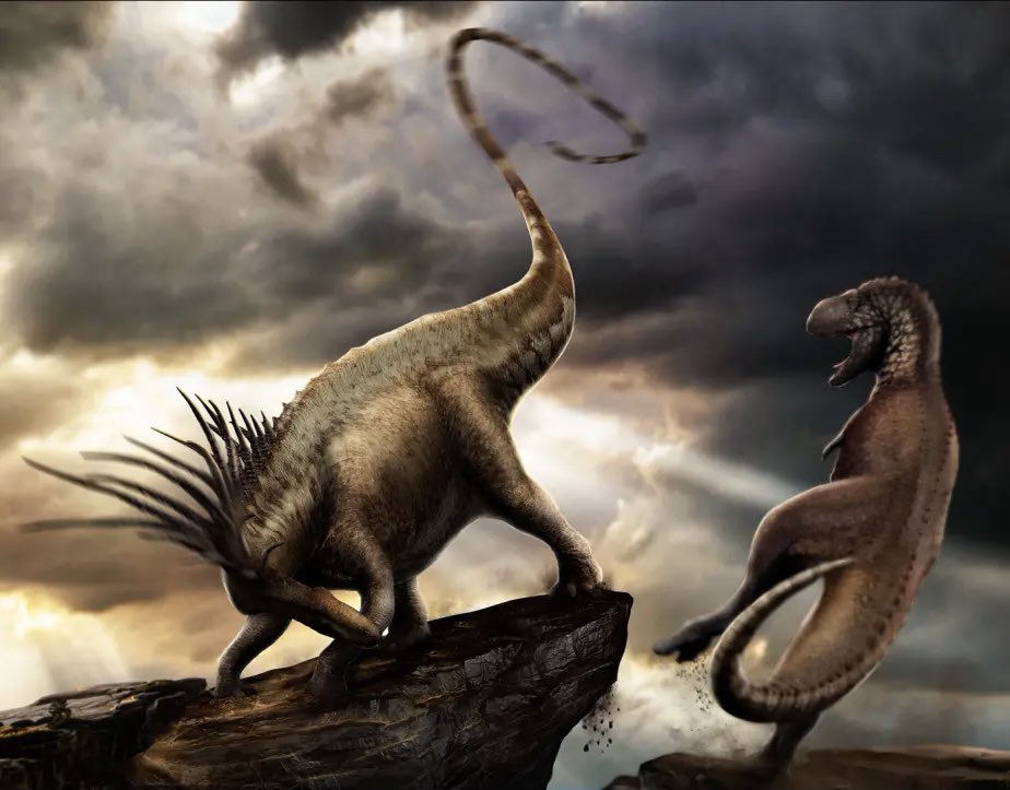 x_seaver's tweet photo. Aucasaurus &amp; Bajadasaurus
#Dinosaur #Aucasaurus #Bajadasaurus https://t.co/UjV6MyHDhj