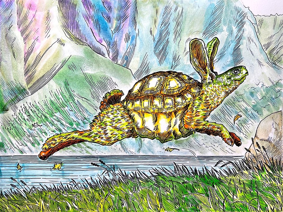 I think I will name this species Haretutle 🙄🤔 #animation #streetart #watercolorpainting #animalario