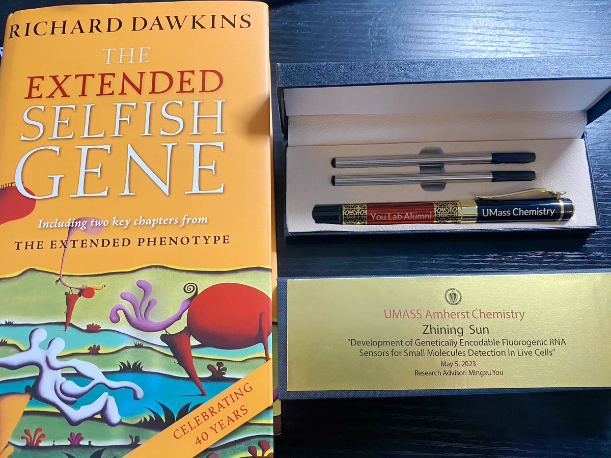 Jennings Sun tweet media