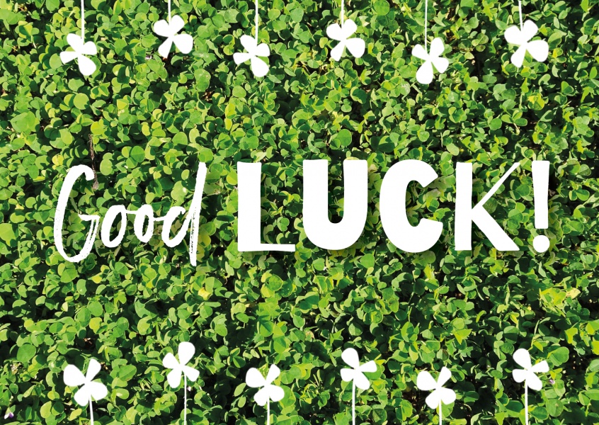 GOOD LUCK SPELLS
Good Luck spells to ensure your Dreams will Succeed.
spellswork7.com/luck-spells.ht…
#thehappinessproject #themagicineveryday #thepursuitofhappiness #thereisalwayshope #thewitchery