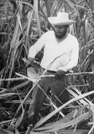 "¡Hay que trabajar para hoy y para mañana, para esta generación y para las generaciones venideras!"

#ALaPatriaManosYCorazón