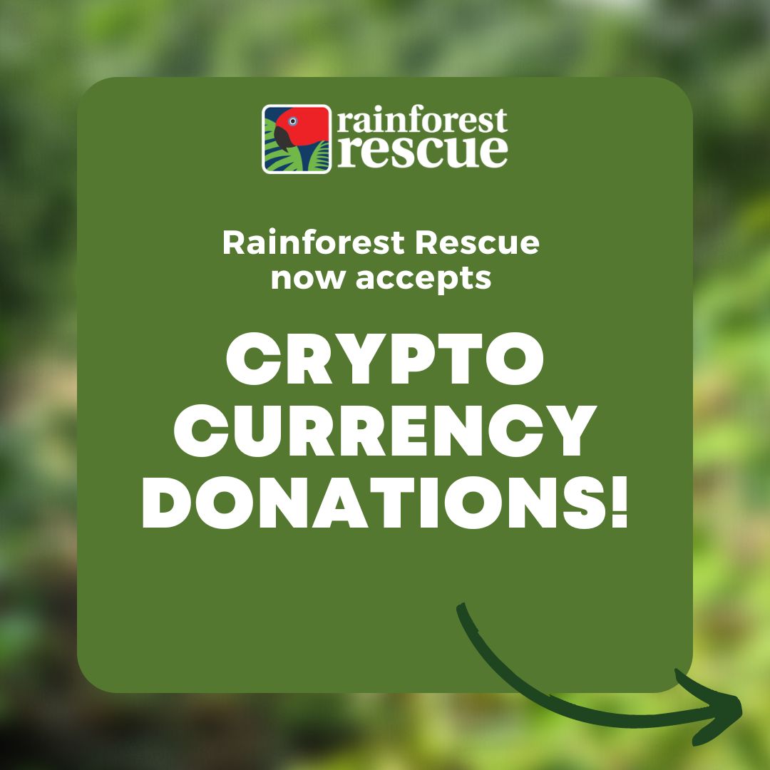RFR_AU's tweet photo. Rainforest Rescue now accepts #cryptocurrency #donations💚.

Donations help fund Rainforest Rescue’s Plant a Rainforest &amp; Protect a Rainforest focused on planting trees, &amp; purchasing &amp; protecting rainforest. 

Donate today: https://t.co/B1ufamEC80 

#ProtectRainforest https://t.co/Oa2dKn4HBl