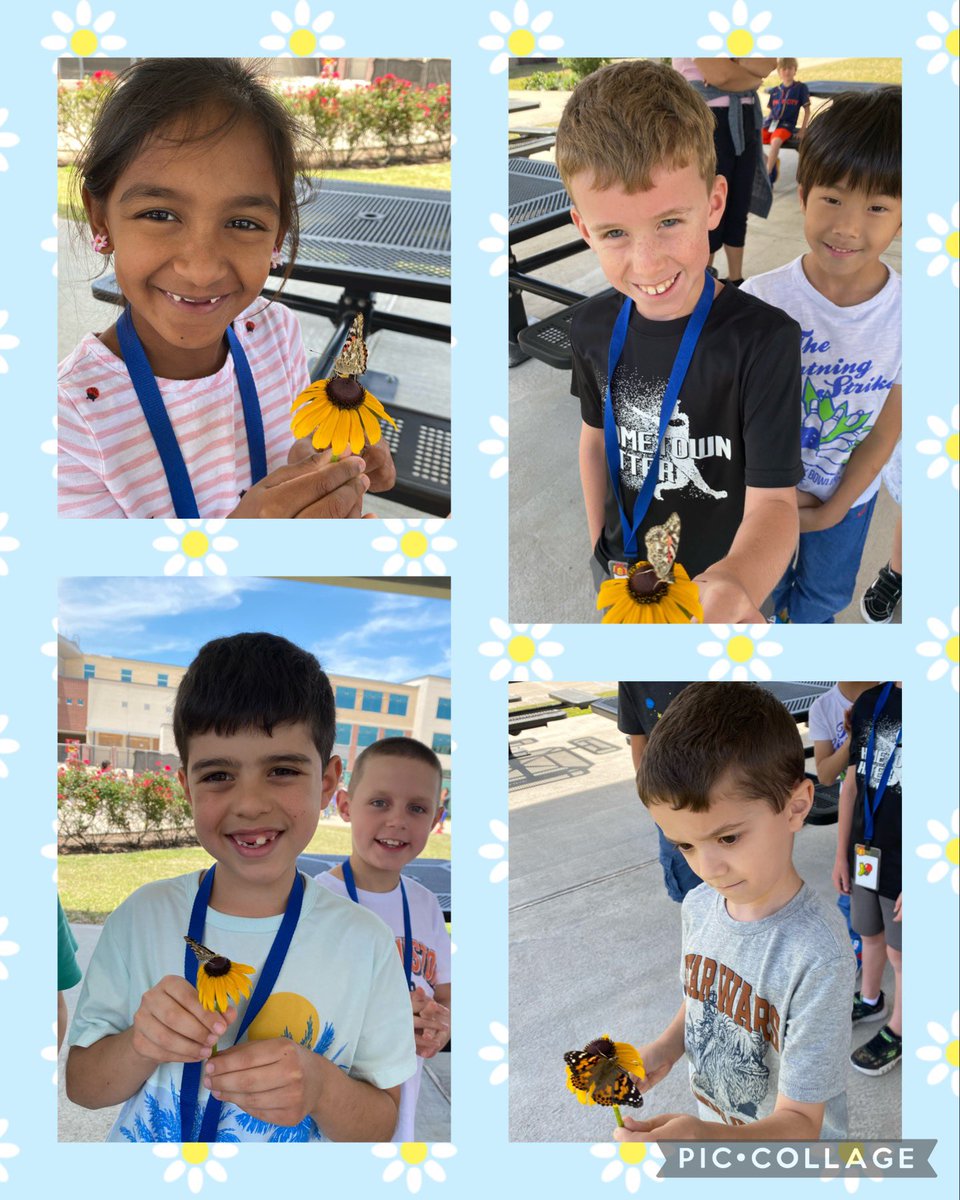 Rebecca van Es tweet media