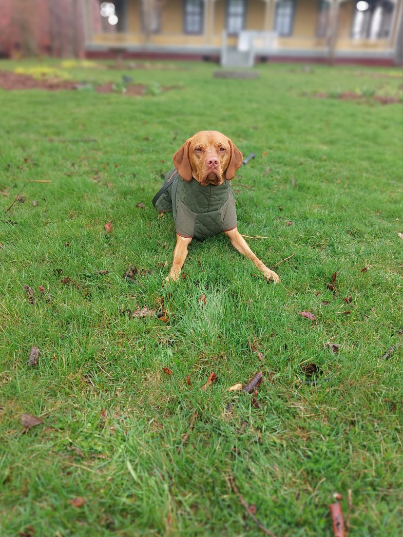 “In the early morning rain with a dollar in my hand 
With an aching in my heart and my pockets full of sand 
I'm a long way from home, Lord, I miss my loved ones so 
In the early morning rain with no place to go…” #RIPGordonLightfoot photo credit URBAN PAW
