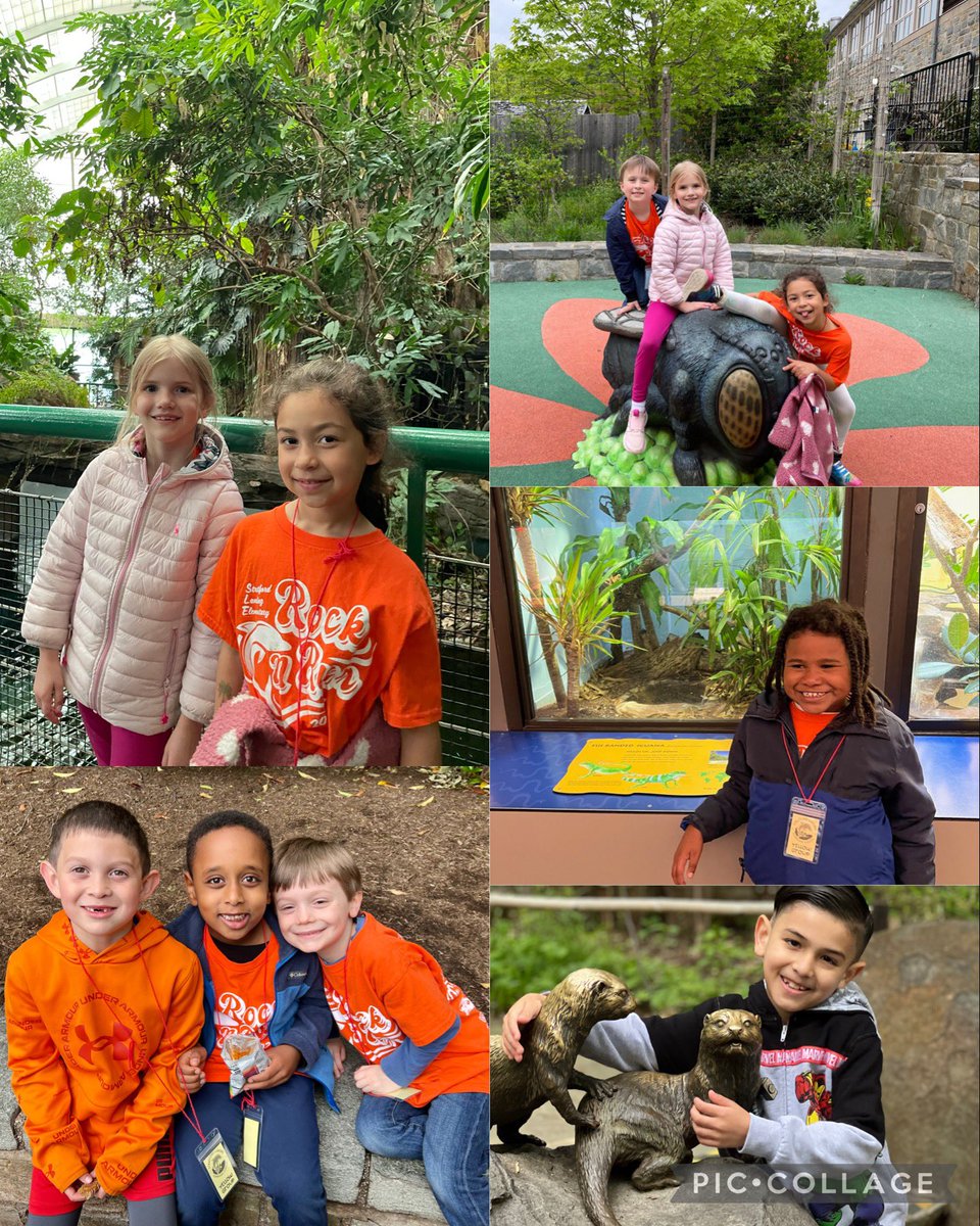 Field Trip Fun! 🦍🦁🐻🐯 These firsties had SO much fun exploring the National Zoo this morning. They were so excited to share about all the wonderful wild animals they saw today!
