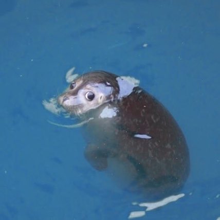 Nick Shackelford 🦾 tweet media