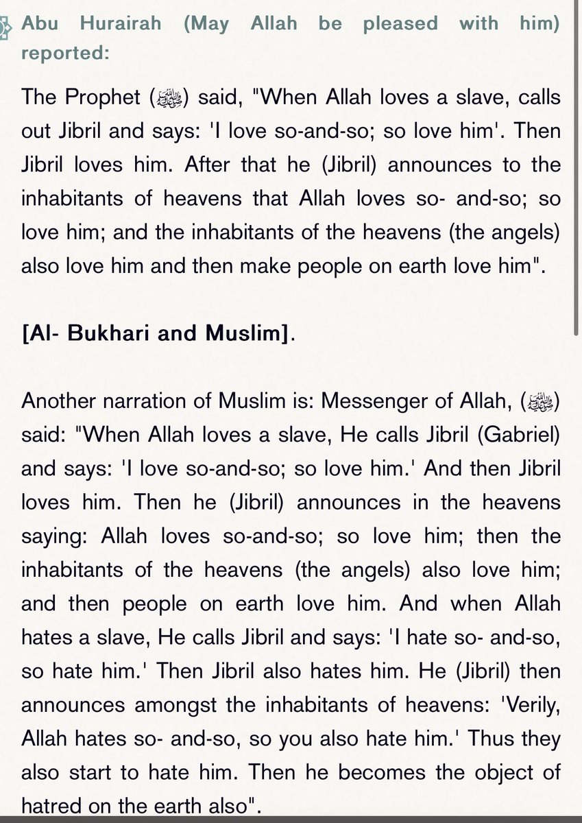 mango ijbolassi tweet media