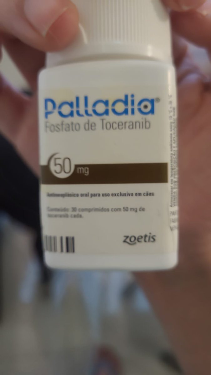 caogonhal's tweet photo. Boa noite, pessoal! Conseguimos R$952,80 para a medicação da quimioterapia da Vitória. Faltam R$797,20! Vocês podem nos ajudar nessa missão de arrecadar o valor restante? O medicamento dela termina sábado e já precisamos comprar.

Pix: eduardaoreis@gmail.com https://t.co/HcMRj6Guwi