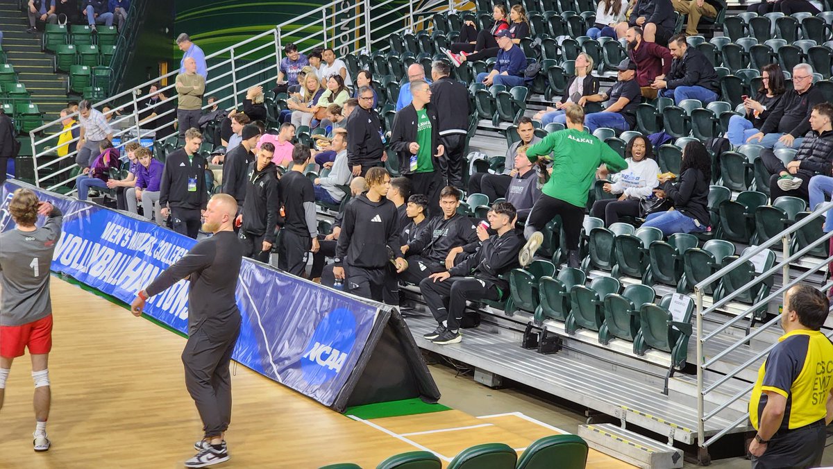 Josh Friedman tweet media