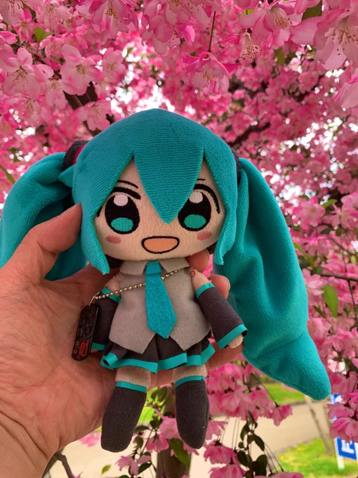 弘前編クリア!遅咲きの桜が咲いててくれてよかった初日雨のまんじ札集めがたいへんだったけど、2日目は快晴でチャリの旅が最高でした。お菓子屋さんの方みんな良い人だった。そして函館へ!#ひろはこ 