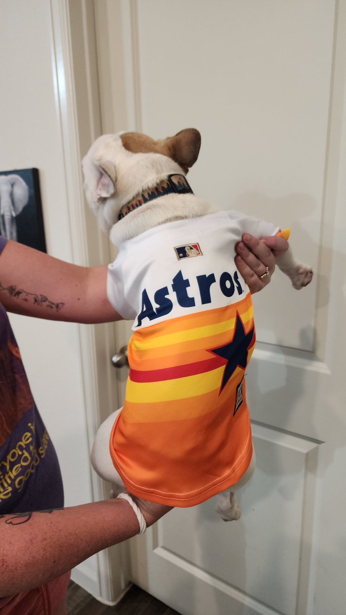 Emilyhrrng's tweet photo. Rip is ready for a game. @astros
@ATTSportsNetSW #Astros #Ready2Reign #frenchbulldog #frenchies #attsportsnetsw https://t.co/DBLmMCvhDQ