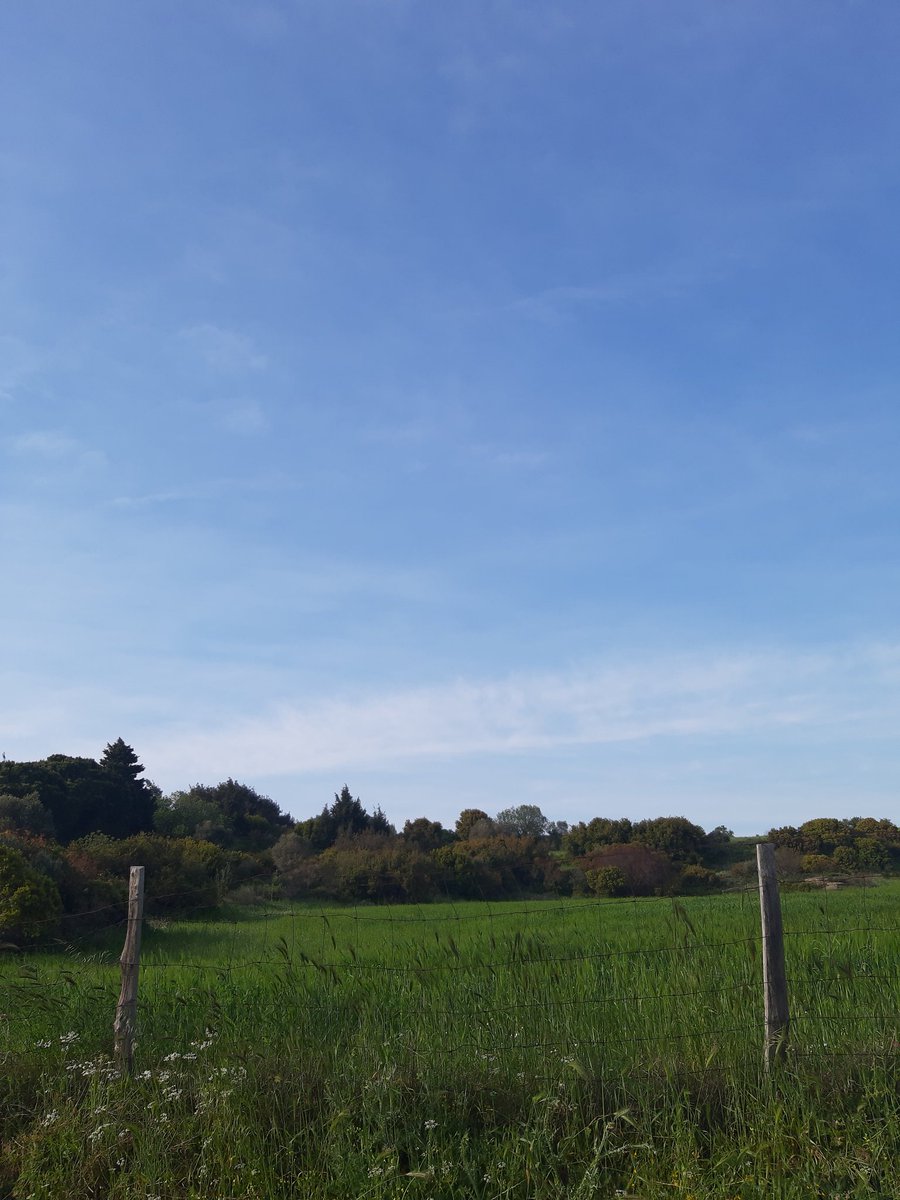 Dış etkenlerden korumak için dikenli tellerle çevrilen tek yer tarlalar değildir Mavi. Bazen aynı niyetle zihinler ve gönüller de sağlam tellerle çevrelenir. 
|⚓