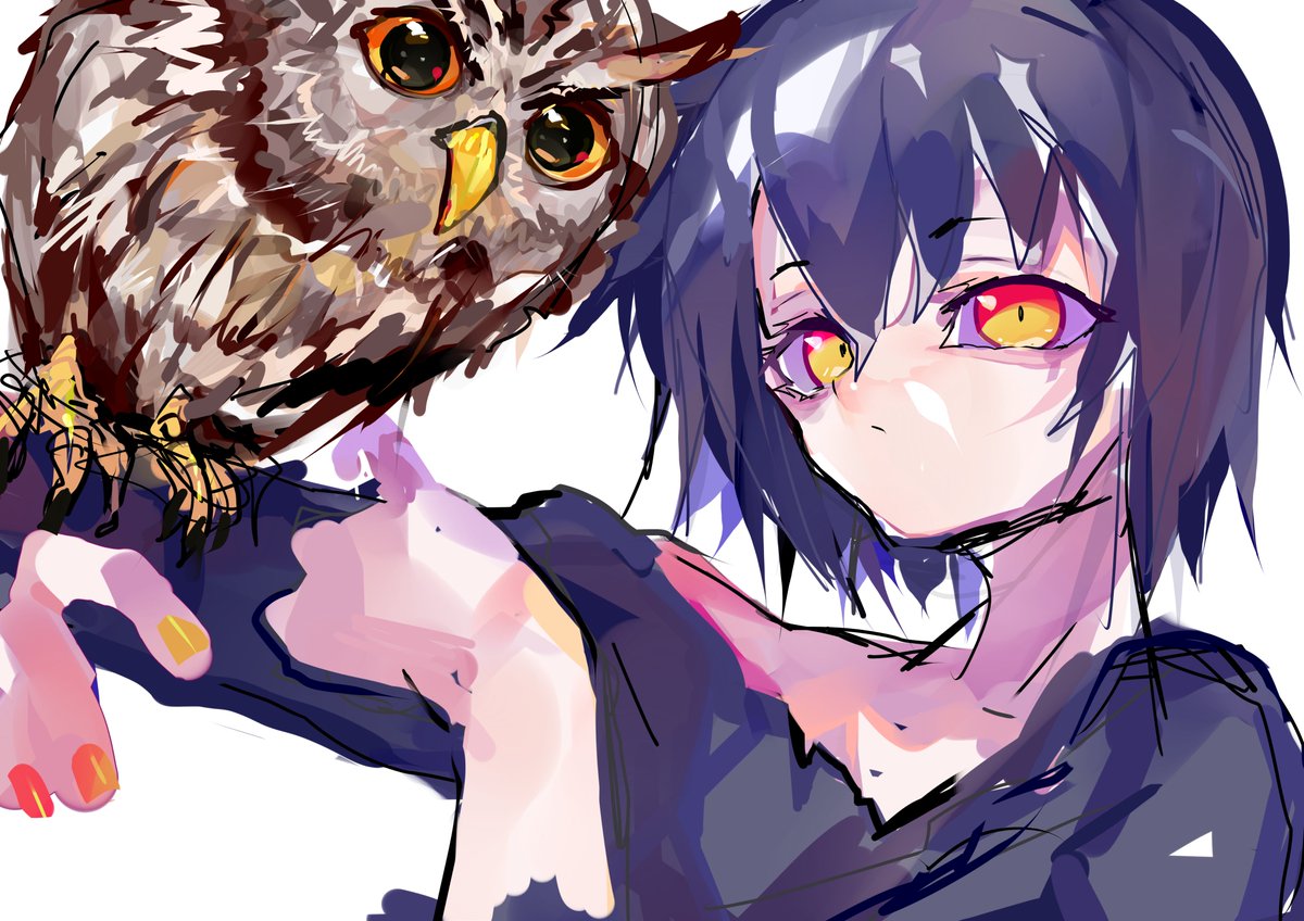 「梟」|キヨイチ＠イラストお仕事募集中【現在9件受注中】ご依頼はDMよりのイラスト