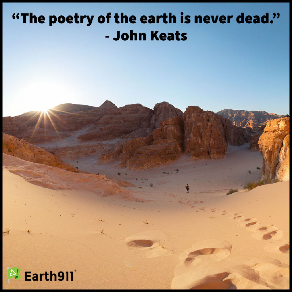 Earth911's tweet photo. Today’s quote is from English poet John Keats, who wrote, “The poetry of the earth is never dead.”
#Johnkeats #Quotes #Naturequotes #Earthquotes #Livegreen #Sustainability #Sustainable #Sustainablelife #Ecoquotes
https://t.co/DNd6hAHZww https://t.co/BVqqr7jS5J