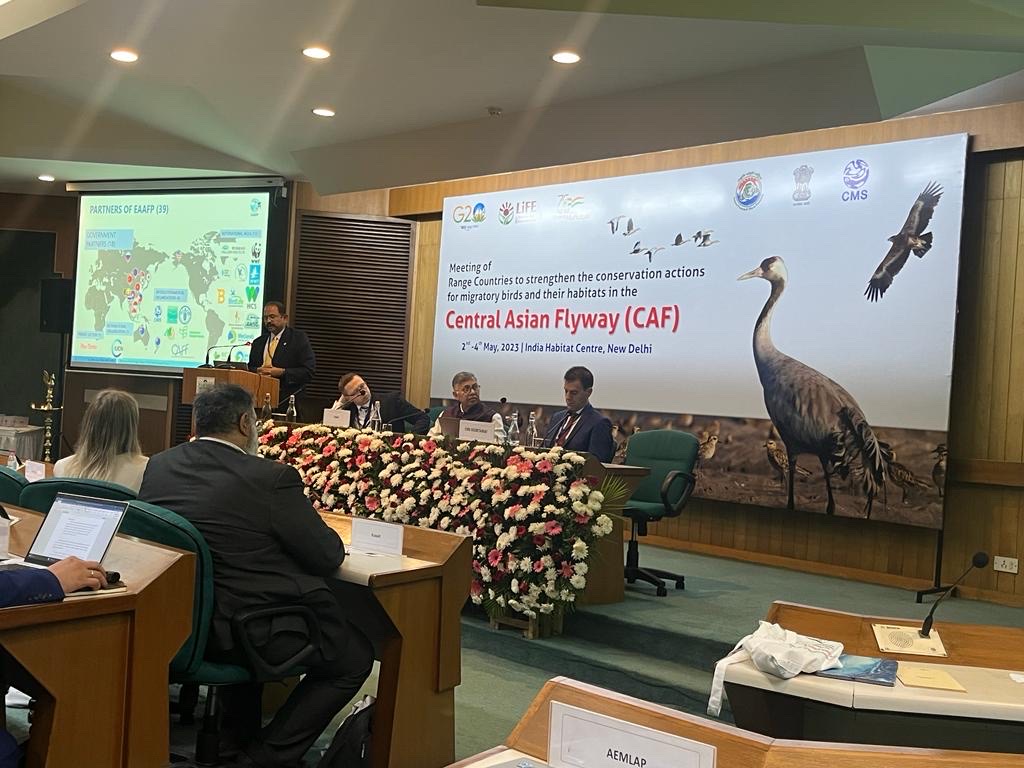 EAAFP's tweet photo. This week in New Delhi, India, 4th Meeting of the Range States of the Central Asian Flyway #CAF4 was held to discuss Institutional Framework of #CAF. @TaejMundkur represented EAAFP as Vice Chair of Technical Sub-Committee to share work and experience at EAAFP. image: @hss_korea https://t.co/gownJ92eQa