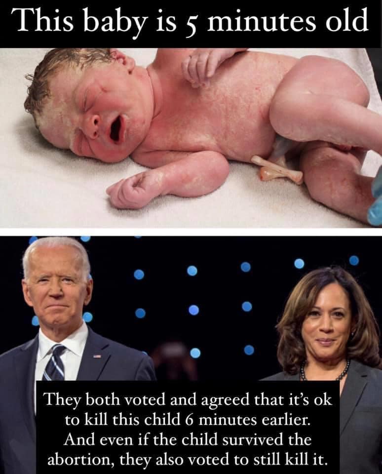 DaddyDawg tweet media