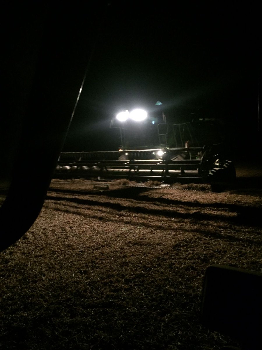 No hay horario de salida siempre #campoargentino #soja #2023