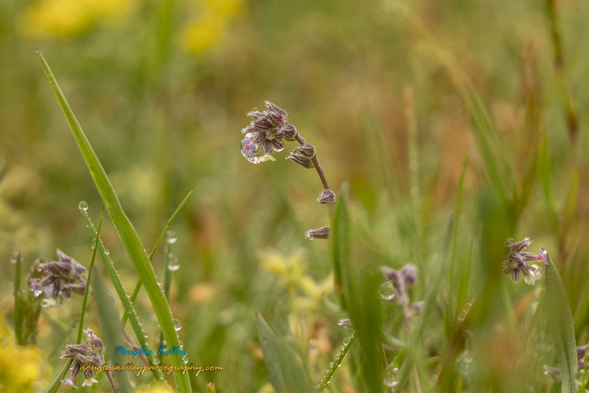 Victoria Gorman /Victora’s Dish (@victoriasdish) on Twitter photo Thanks for the mention! LISUNCHASER: Lets get small (I need a macro lens lol ) <a href="/StormHour/">#StormHour</a> <a href="/ThePhotoHour/">#ThePhotoHour</a> <a href="/Victoriasdish/">Victoria Gorman /Victora’s Dish</a> <a href="/MattHammer12/">Matt Hammer</a> <a href="/WeatherGeoff/">Geoff Bansen, CBM</a> Thanks for the mention! LISUNCHASER: Lets get small (I need a macro lens lol ) <a href="/StormHour/">#StormHour</a> <a href="/ThePhotoHour/">#ThePhotoHour</a> <a href="/Victoriasdish/">Victoria Gorman /Victora’s Dish</a> <a href="/MattHammer12/">Matt Hammer</a> <a href="/WeatherGeoff/">Geoff Bansen, CBM</a>