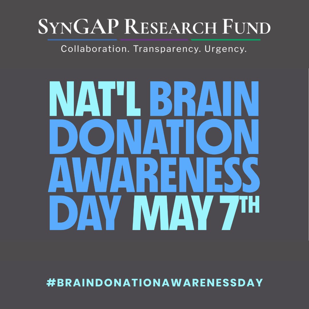 🧠Today is National #BrainDonationAwarenessDay

Learn more about brain donation in our blog and watch the webinar with Autism BrainNet.

- SynGAP Research Fund Partners with Autism BrainNet
syngapresearchfund.org/post/syngap-re…

- An Introduction to Autism BrainNet
syngapresearchfund.org/webinars/an-in…