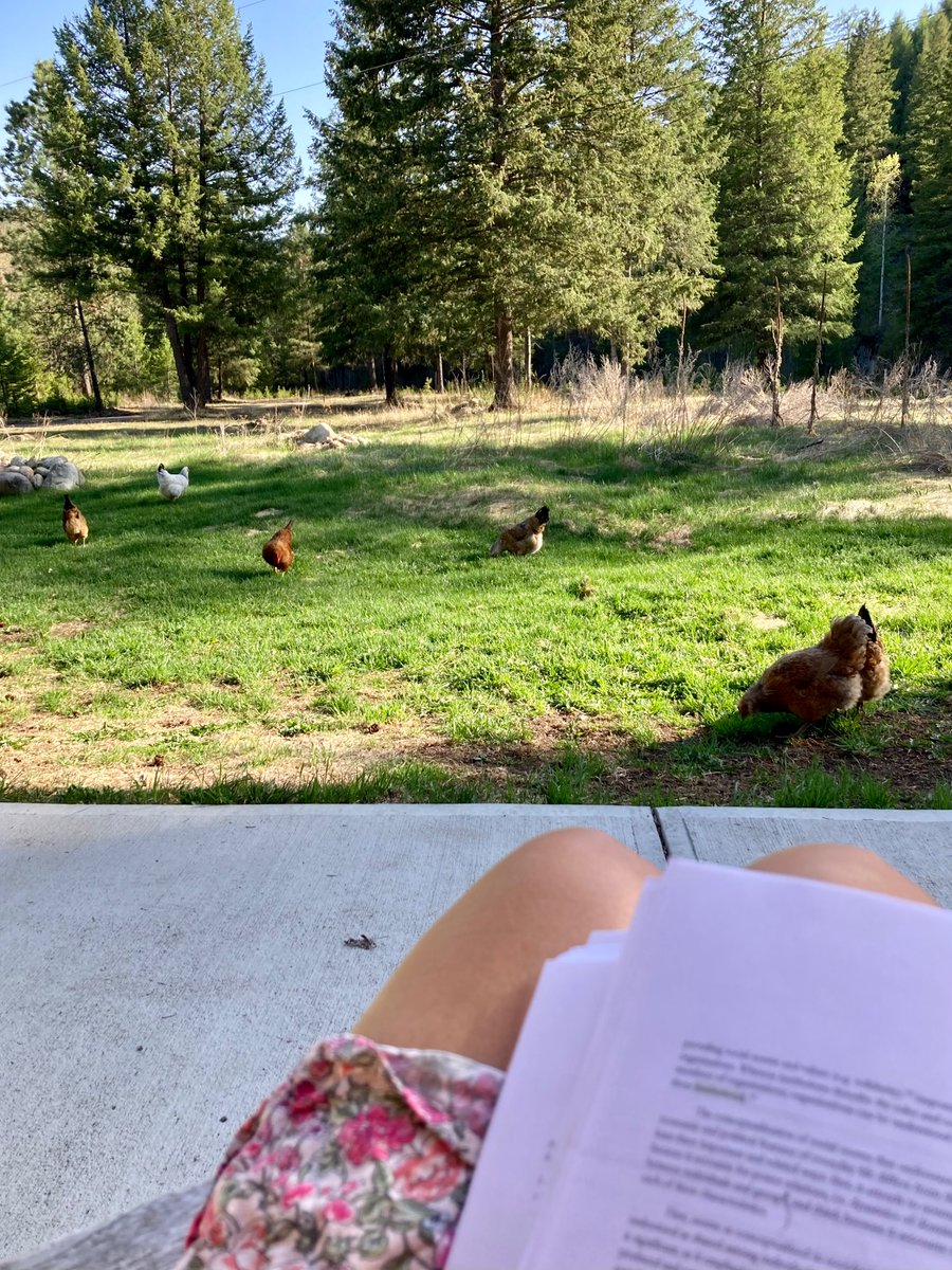 Tara Patricia Cookson tweet media