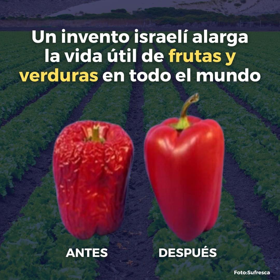 IsraelinMexico's tweet photo. Una tecnología israelí se convierte en la solución al residuo de alimentos. Este nuevo producto creado por la empresa israelí Sufreca, es capaz de alargar la vida de cientos de alimentos!

Más información: https://t.co/uoMOj1U5N1… https://t.co/MyJE3R1yzT