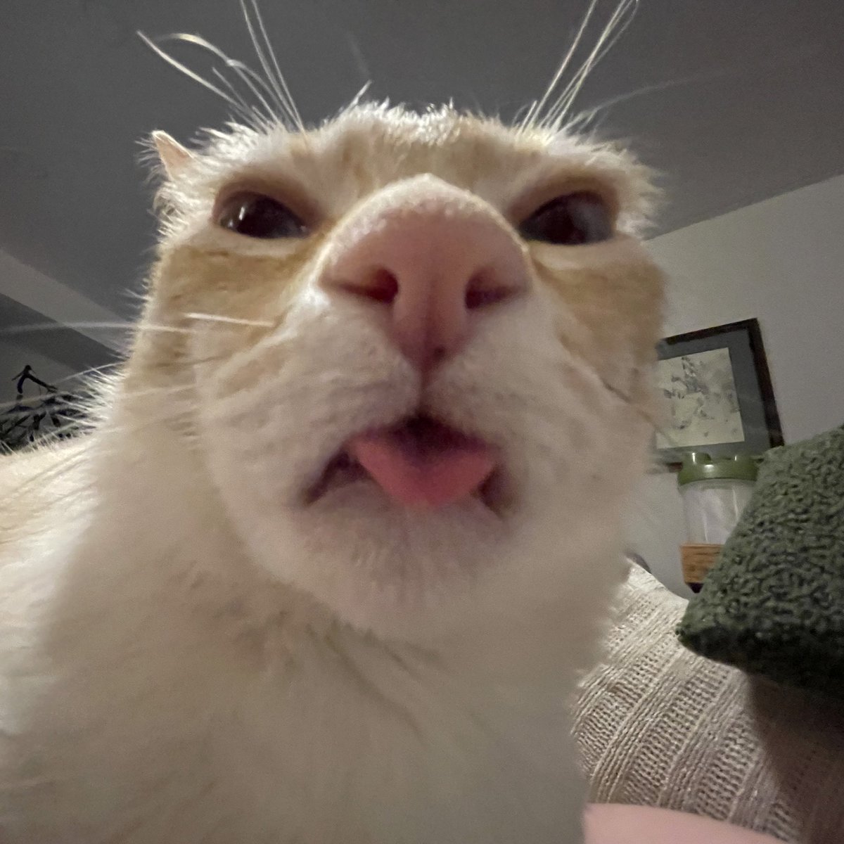 babienorman's tweet image. Moth breather 👇🏼🤣