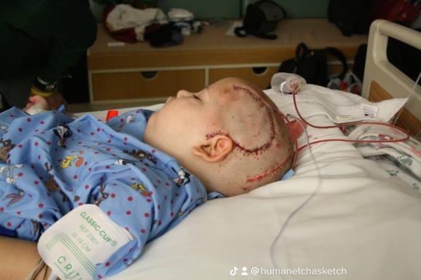 humanetchasketch® tweet media