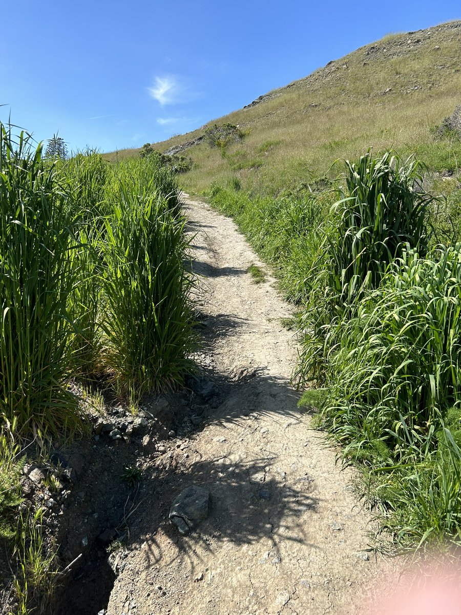 Danathon James tweet media