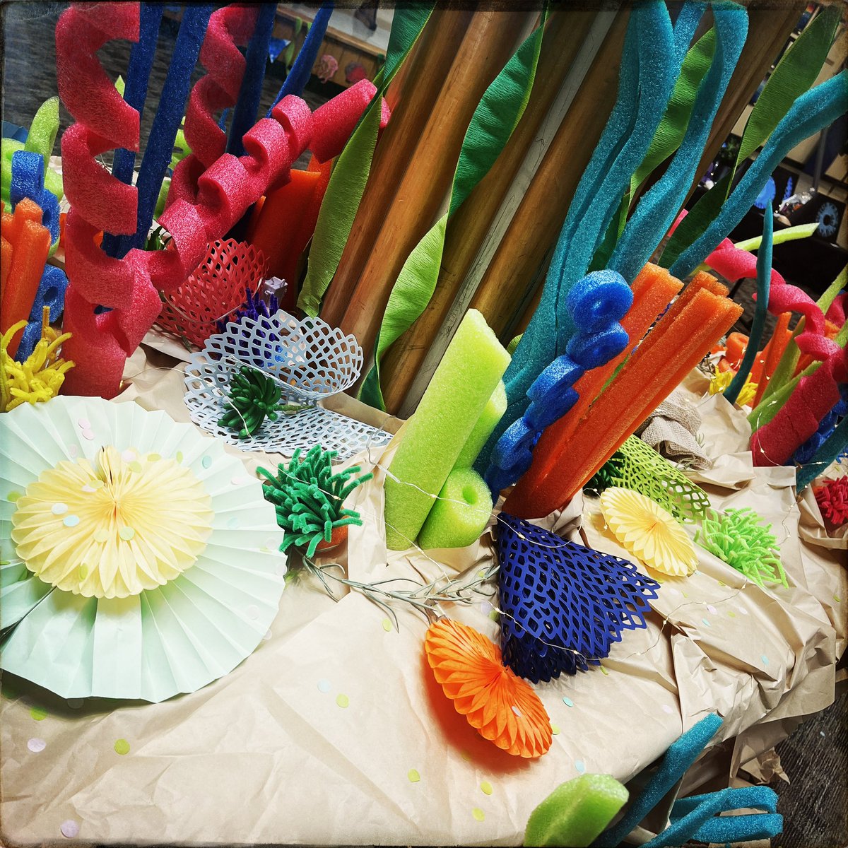 Shauna Read tweet media