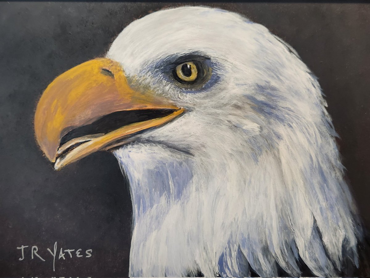 jryates1313's tweet photo. American Spirit... an original 9"x12" acrylic painting by J R Yates. SOLD #art #eagle #painting https://t.co/sO2piKttB7