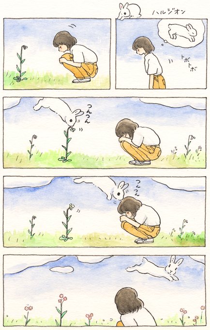 ハルジオン🐇🌼