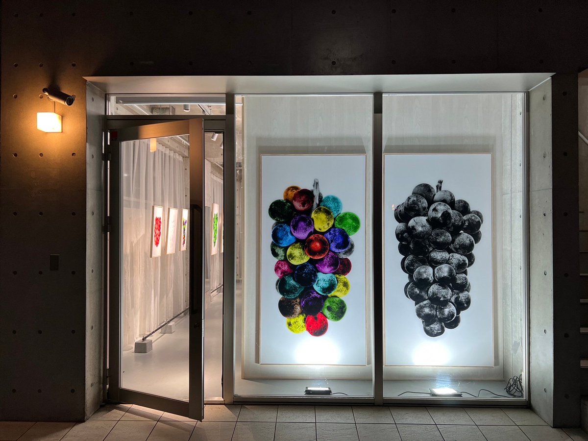 hiptip's tweet photo. 【HIPTIP GALLERYオープン】
Koh Ryeo Myoung(コ・リョミョン) POP UP GALLERY ~ 葡萄の贈り物 ~
期間 :2023年5月2日(火)〜2023年6月4日(日)
時間 :12:00-18:00 (定休日:月曜日) https://t.co/dUYVfcPf1U
