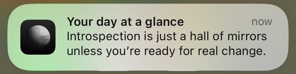 HayAmandaRae's tweet photo. another day, another personal attack by @costarastrology https://t.co/O8fxvnrWAD