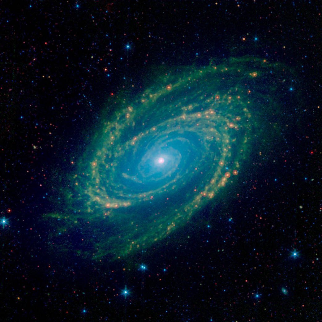 An Infrared View of the M81 Galaxy captured by the Spitzer Space Telescope