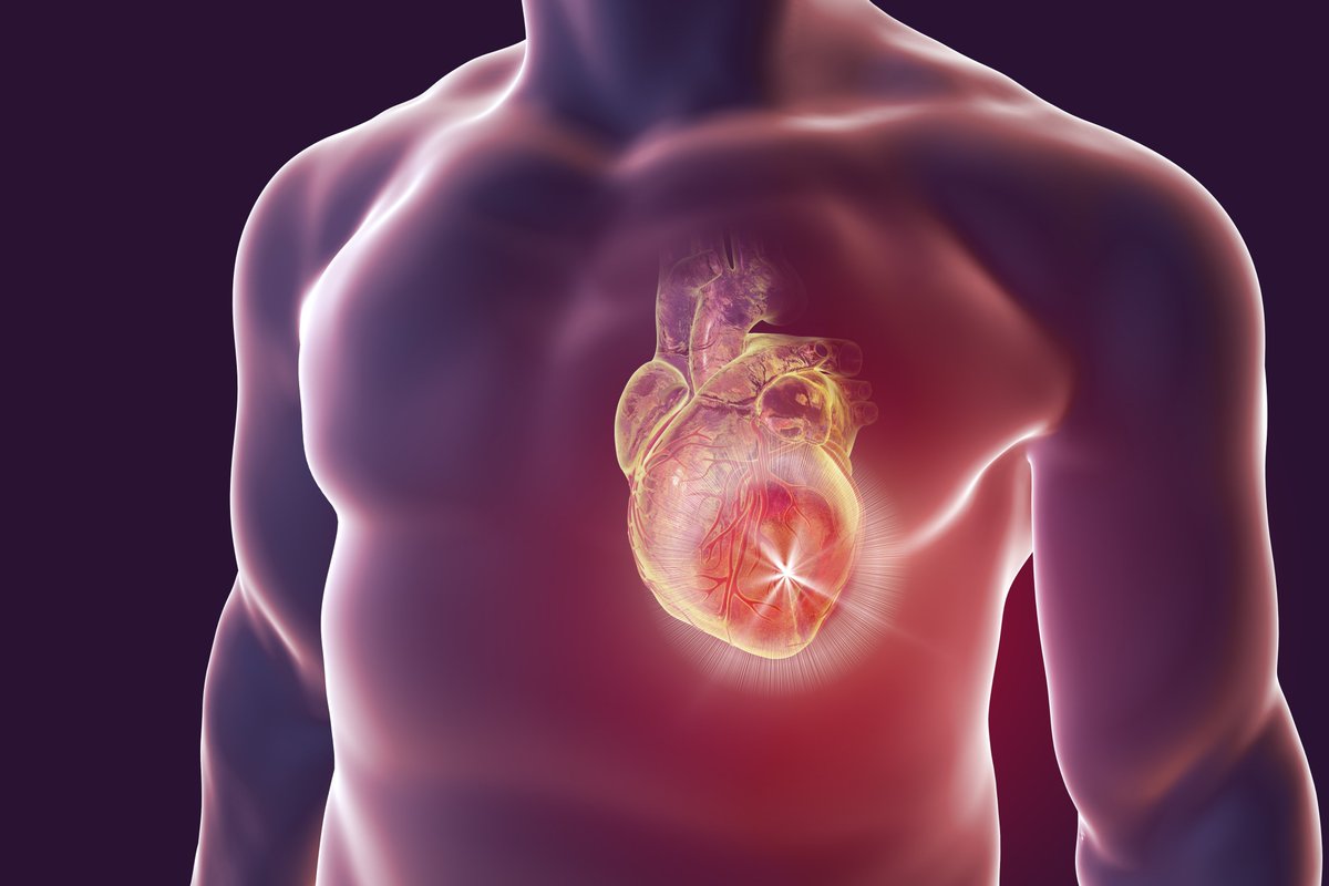Monash Victorian Heart Institute (@monashvhi) on Twitter photo From the impact of hypertension, to lifestyle behaviours, sex differences and the importance of prevention, <a href="/Monash_FMNHS/">Monash Medicine, Nursing and Health Sciences</a> and VHI researchers answered a variety of questions this #HeartWeek.
Here's what they had to say: bit.ly/428mp1A From the impact of hypertension, to lifestyle behaviours, sex differences and the importance of prevention, <a href="/Monash_FMNHS/">Monash Medicine, Nursing and Health Sciences</a> and VHI researchers answered a variety of questions this #HeartWeek.
Here's what they had to say: bit.ly/428mp1A
