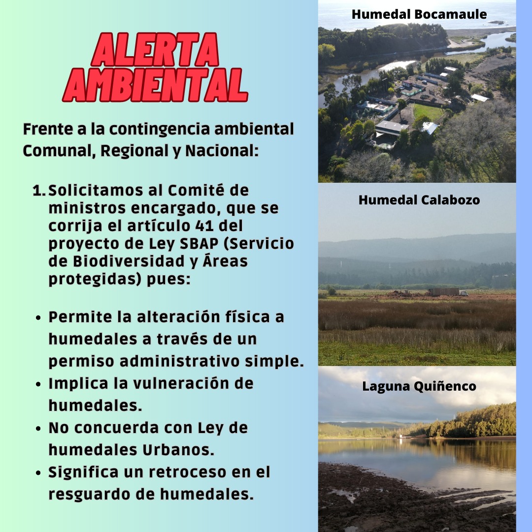 humedalesbiobio's tweet photo. ¡¡Compartimos, súmate‼️ 🙌💪👇
⚠️🚨 ALERTA AMBIENTAL 🚨⚠️
#nomaszonasdesacrificio
#nomasextractivismo
#humedaleslibres
#pencosinminera
#art41 a modificar!
#ministeriodemedioambiente
#redhumedalesbiobío
#redhumedaleschile
#comitédeministros
#boricamarillo
#alertaambiental https://t.co/eCPaMyTgjf