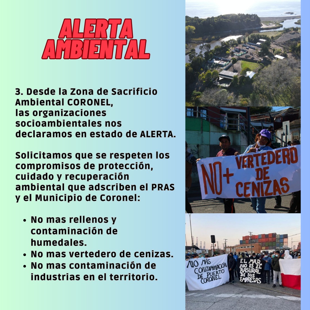 humedalesbiobio's tweet photo. ¡¡Compartimos, súmate‼️ 🙌💪👇
⚠️🚨 ALERTA AMBIENTAL 🚨⚠️
#nomaszonasdesacrificio
#nomasextractivismo
#humedaleslibres
#pencosinminera
#art41 a modificar!
#ministeriodemedioambiente
#redhumedalesbiobío
#redhumedaleschile
#comitédeministros
#boricamarillo
#alertaambiental https://t.co/eCPaMyTgjf