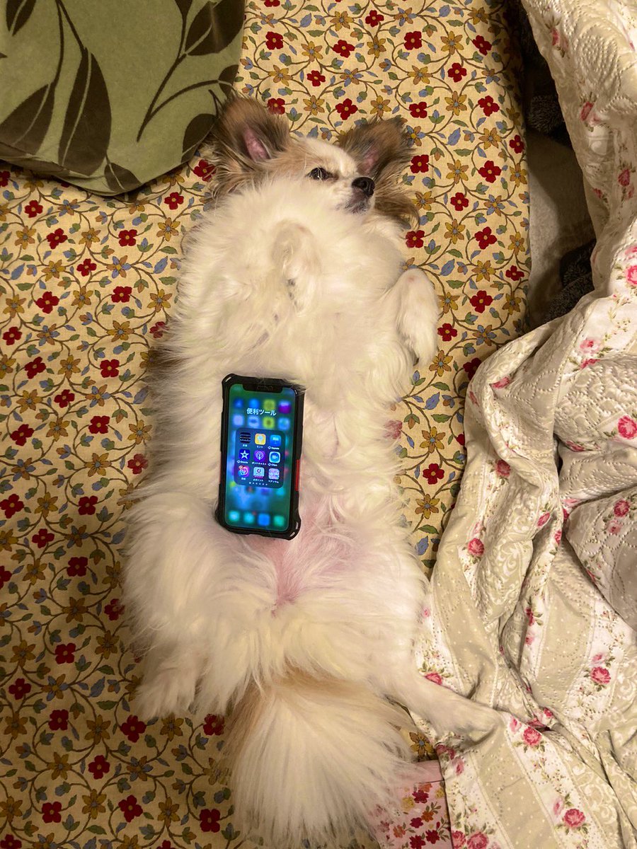 スマホケース変えました。
ちょっと大きいです☺️