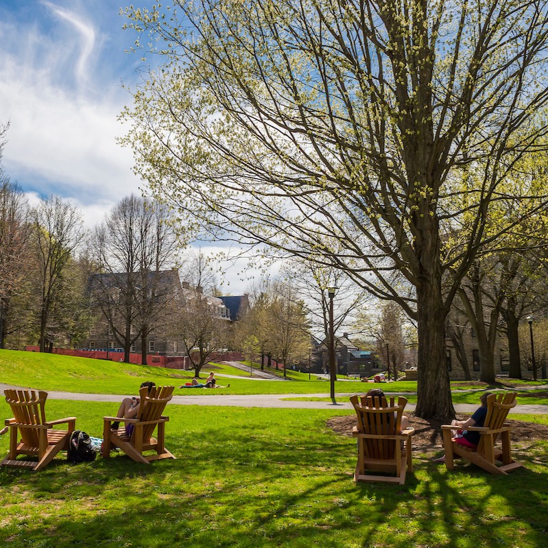 Colgate University tweet media