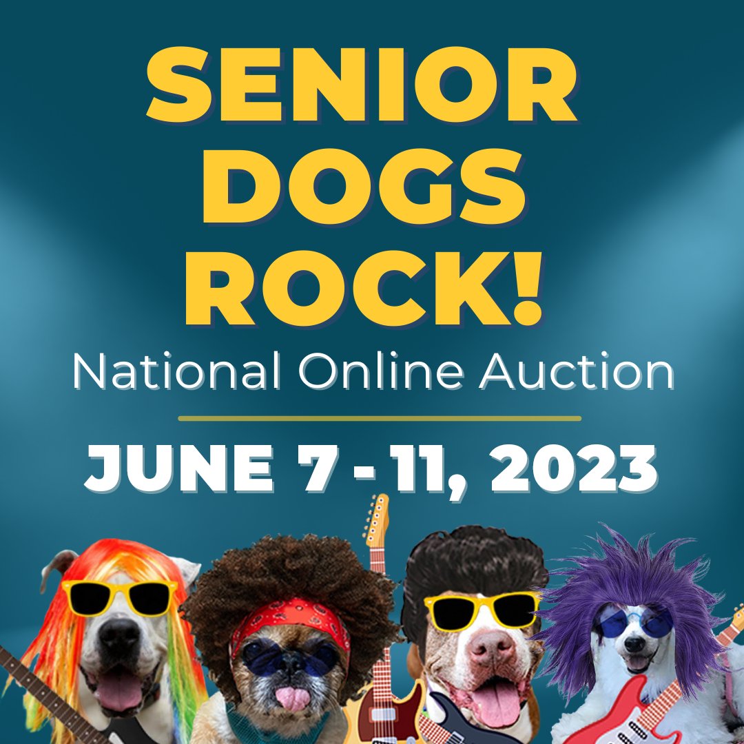 Save the dates! Senior Dogs Rock!—Presented by Paw Prosper—is Grey Muzzle's online auction benefiting at-risk senior dogs nationwide. We're auctioning off a variety of exciting items, unique experiences, and travel adventures. Register to bid anytime: biddingforgood.com/greymuzzle