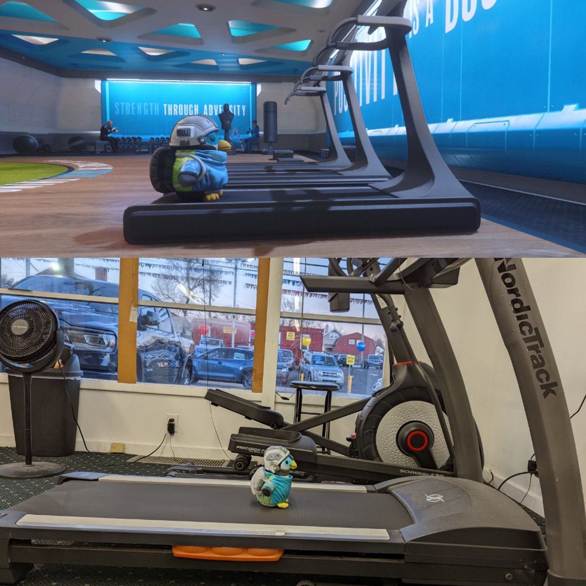 What are you doing for National Fitness Day? RL vs IG

#StarCitizen #NationalFitnessDay #treadmill