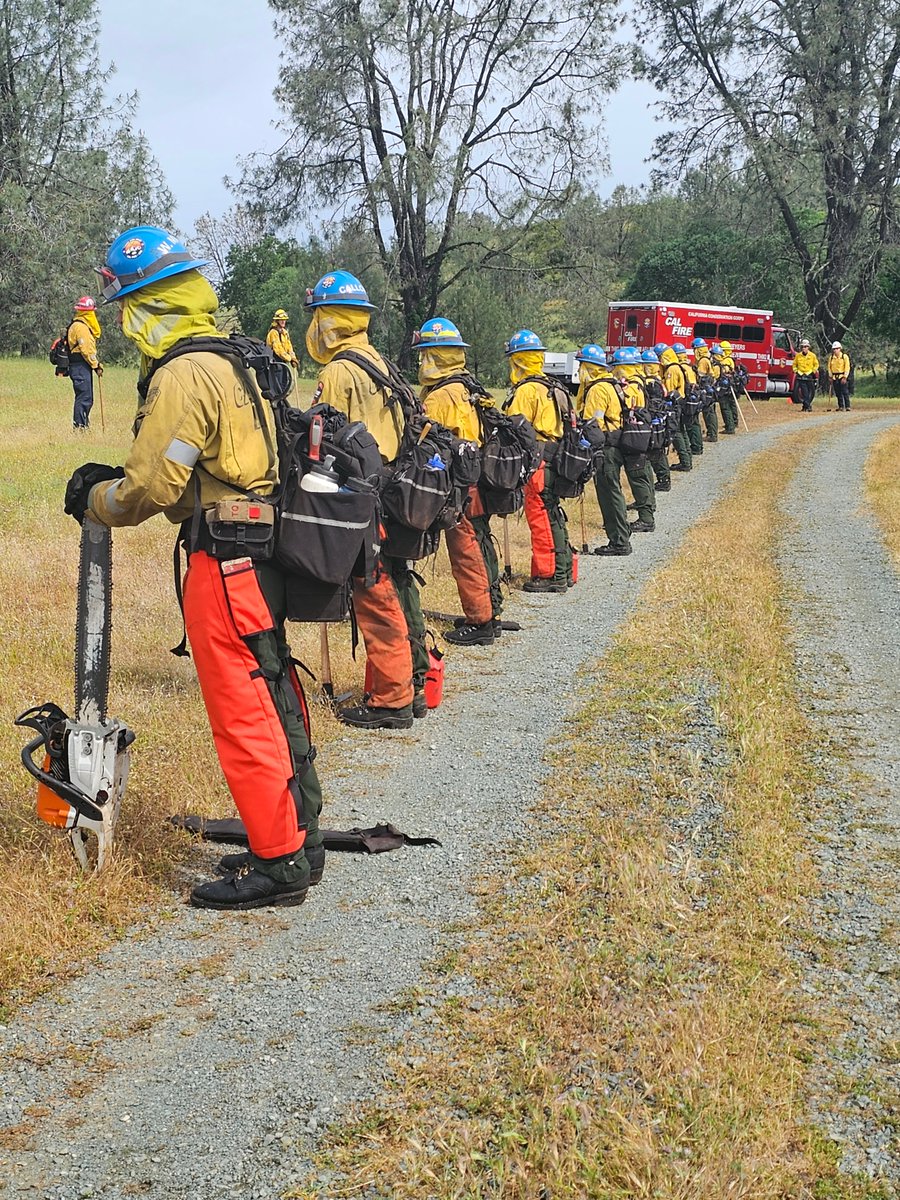 CAL FIRE AEU on Twitter: