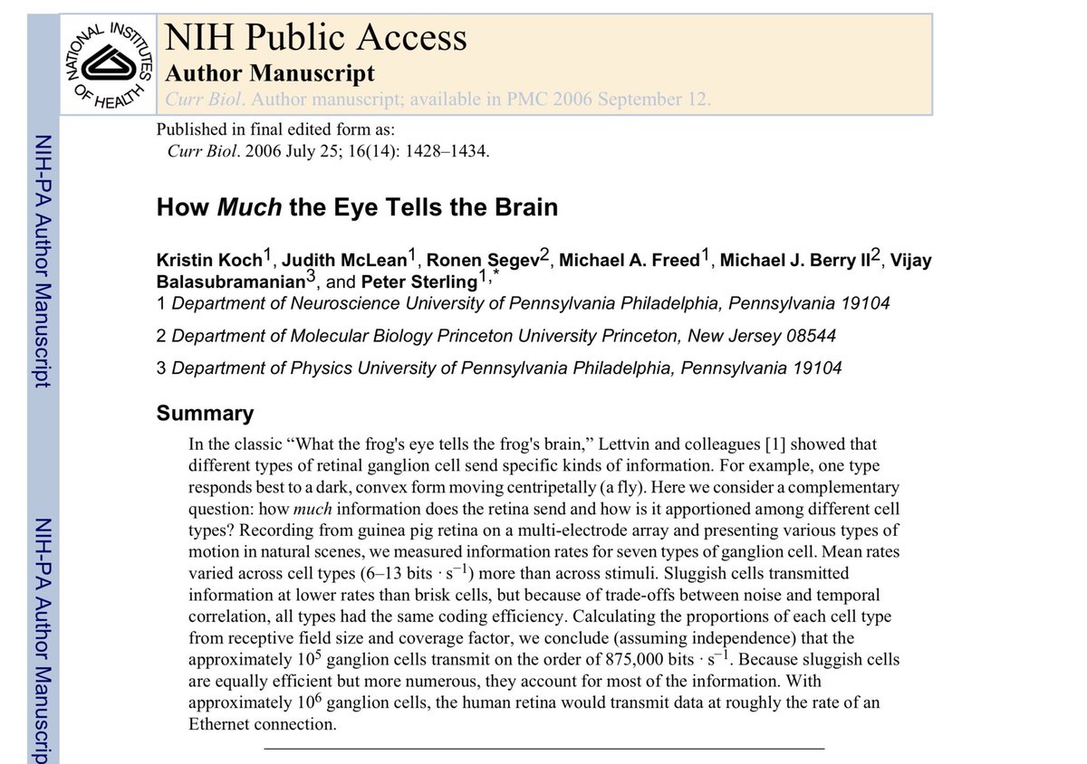How much does the eye tell the brain? Not much.

1000:1 🗜️ from eye to optic nerve
25000:1 🗜️from optic nerve to brain

For every 1Gb collected by the eye, 1Mb is sent to the brain thru optic nerve &amp; &lt;100bits used

And how fast? ~875Kbps about the same as broadband internet speed