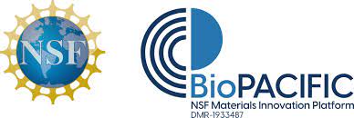 Andrea S. Carlini tweet media